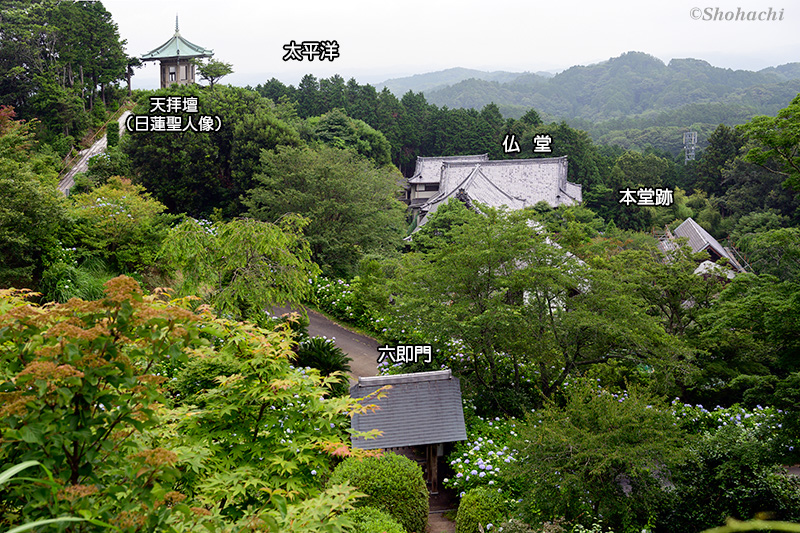 ���Ȍ�����