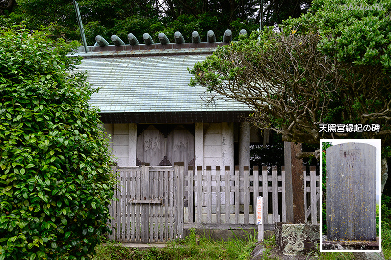 ���Ȍ�����